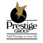 Prestige Autumn Leaves Profile Picture