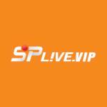 Splive vip Profile Picture