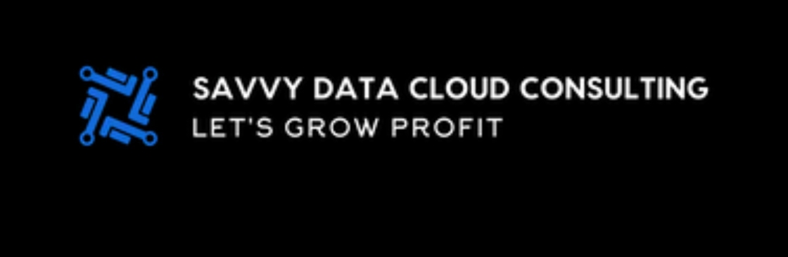 Savvy Data Cloud Consulting Cover Image