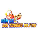 Fun 88 Profile Picture