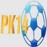 PK14 Profile Picture