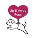 Upandawaypups Profile Picture