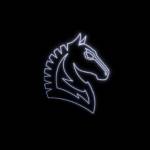 Trojantrading Profile Picture