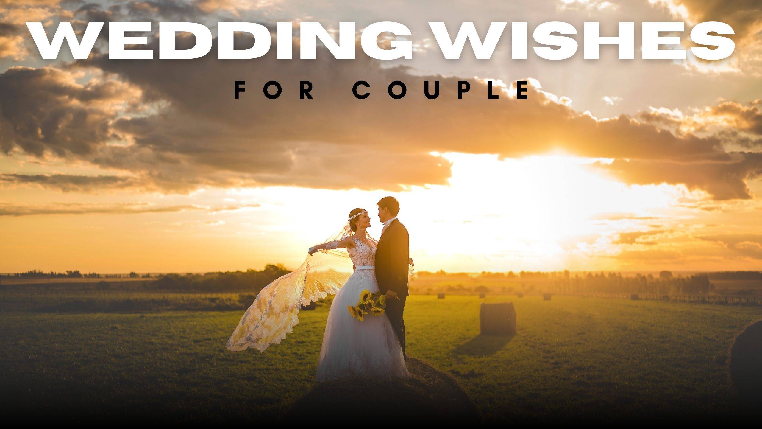 260+ Wedding Wishes for a Couple You Adore - Rosct