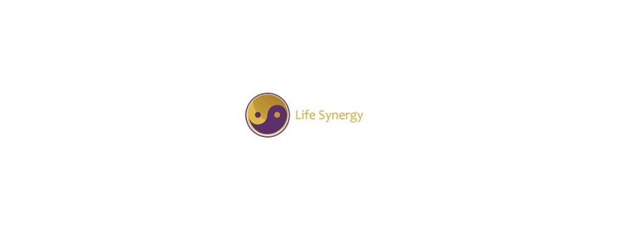 Life Synergy Retreat Cover Image