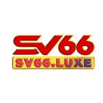 sv66 luxe Profile Picture