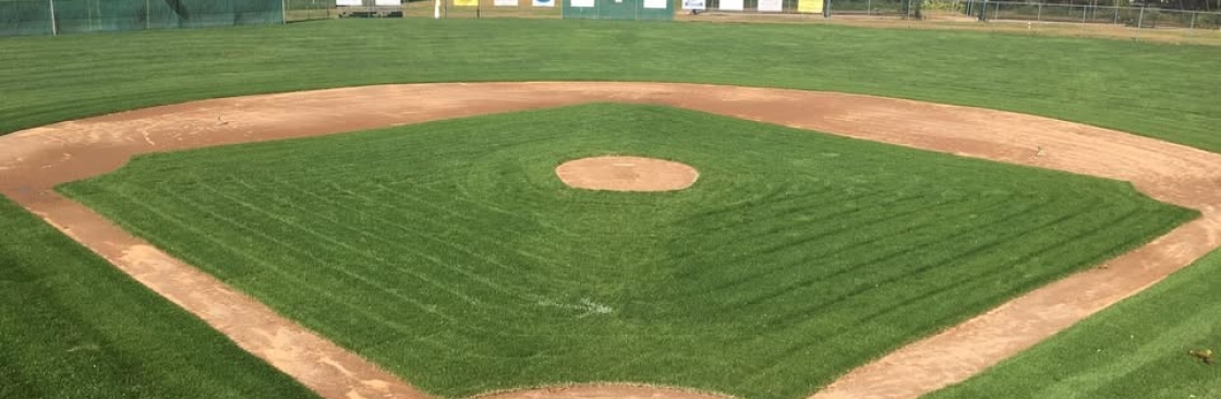 Mystic Little League Cover Image