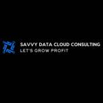 Savvy Data Cloud Consulting Profile Picture