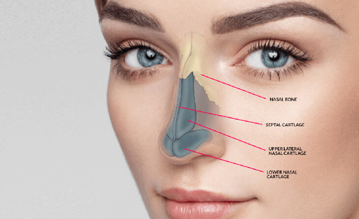 Rhinoplasty Surgery (Nose Job) Procedure | Dr. Rajat Gupta - RG Aesthetics