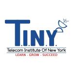 Telecom Institute of New York profile picture