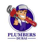 Plumbing Services in Dubai Profile Picture