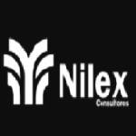 Nilex Consultores Profile Picture