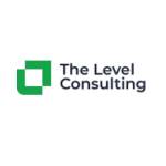 The Level Consulting Profile Picture