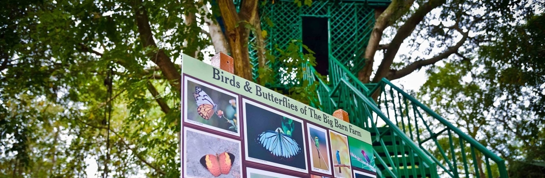 The Big Barn Nature Camp Cover Image