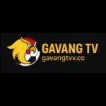 Gavang TV Profile Picture