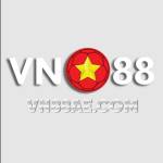 VN 88 Profile Picture