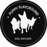 Puppy Play ground Profile Picture