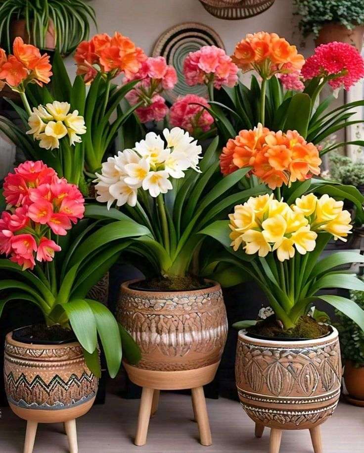 Top April Flowers for a Stunning Balcony Garden