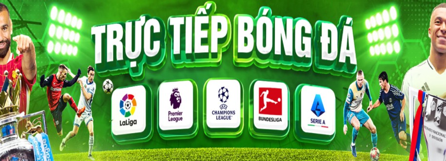 mollysmovementcom dieweb Cover Image