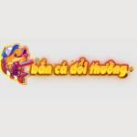 banca doithuong Profile Picture