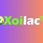 Xoilactviicc Used domain Profile Picture