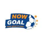Nowgoal it Profile Picture