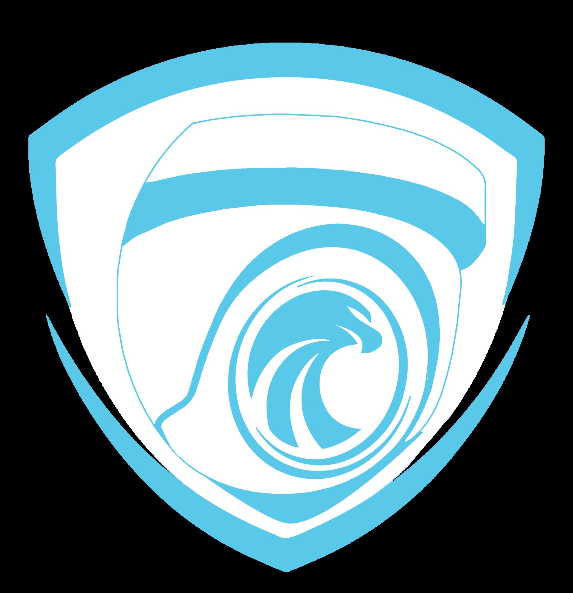 TRUSTED EAGLE SECURITY Profile Picture