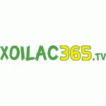 Xoilac TV Profile Picture