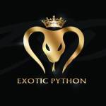 Exotic Python Profile Picture