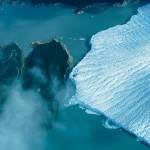 PolyTrack Game Profile Picture