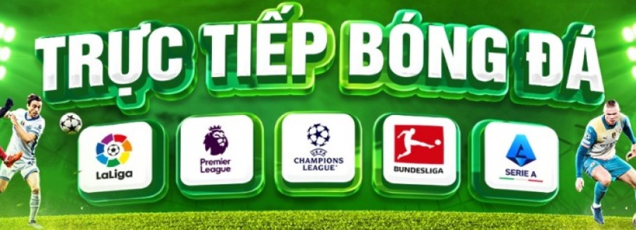 Mollysmovementcom Gia mao Cover Image