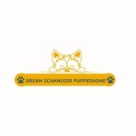 Dream Schnauzer Puppies Home Profile Picture