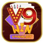 V9win Diy Profile Picture