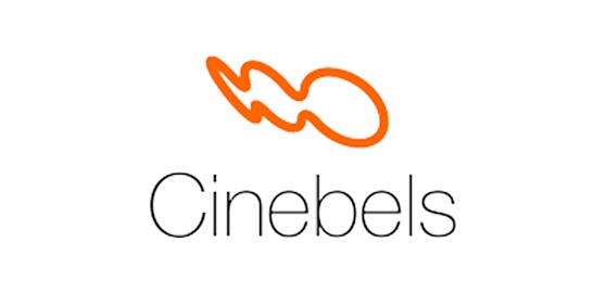 Cinebels :: Buy WiiM Pro Plus, Pro, & Mini Online in India | Premium Audio Devices