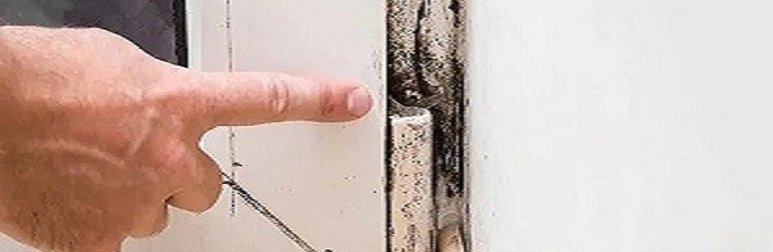 Mould Doctors Cover Image