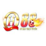 qh88 Profile Picture