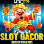 lite toto Profile Picture