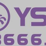 YSB66 Link Vào Mới Nhất 2025 Cổng Game Hoàng Gia VIP Profile Picture