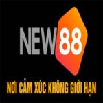 New88 Nhà cái uy tín hàng đầu châu Á Profile Picture