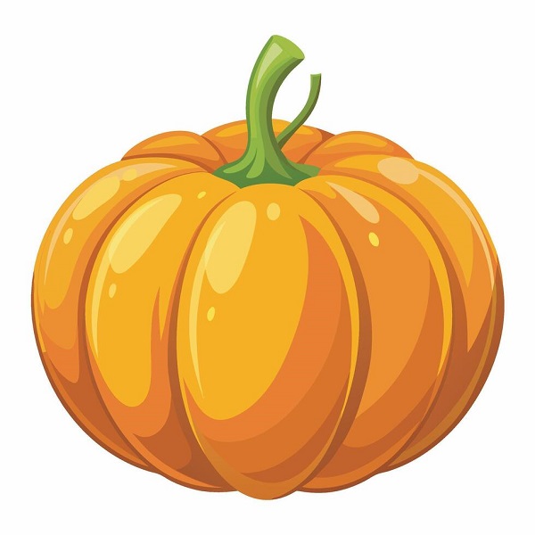 60+Pumpkin Images Drawing cartoon - Drawing Videos for Kids!