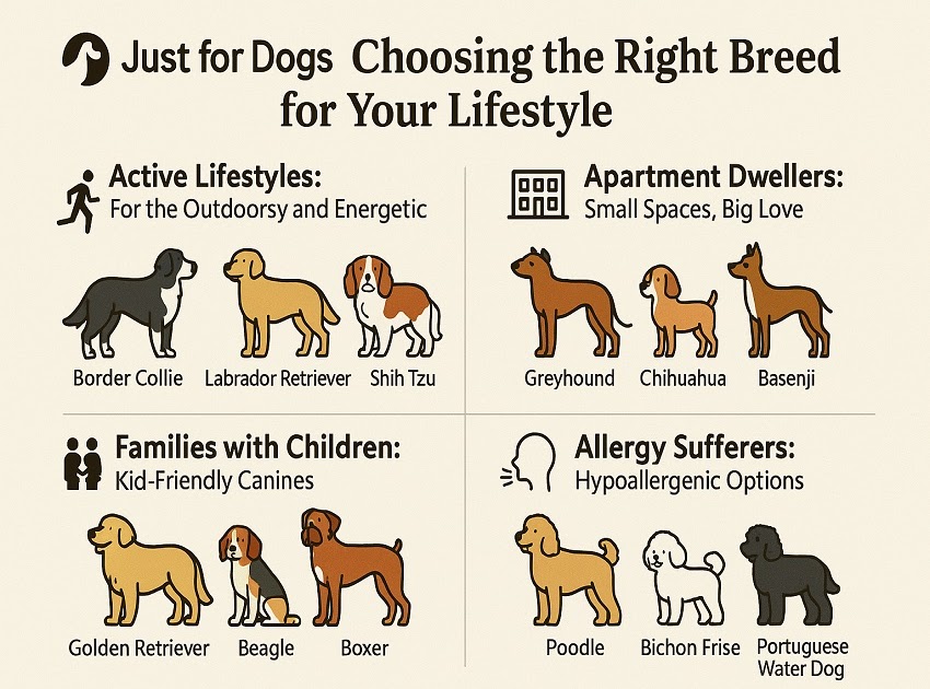 Just for Dogs: Choosing the Right Breed for Your Lifestyle