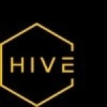 Thehive hostels Profile Picture