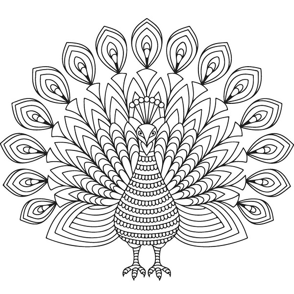 36+ Peacock Coloring Pages Printable Pdf for Kids!