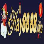 Hay88 Profile Picture