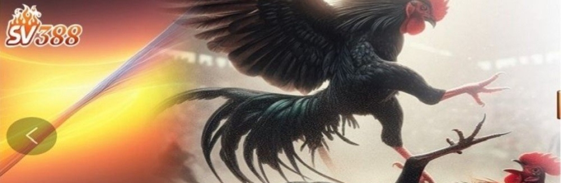 SV388 Cover Image