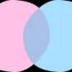 Chat Nederlands Profile Picture