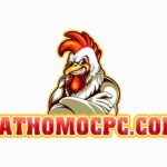 Đá gà thomo Profile Picture