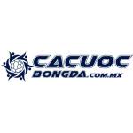 Cá Cược Bóng Đá Profile Picture