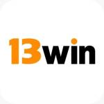 13win ing Profile Picture