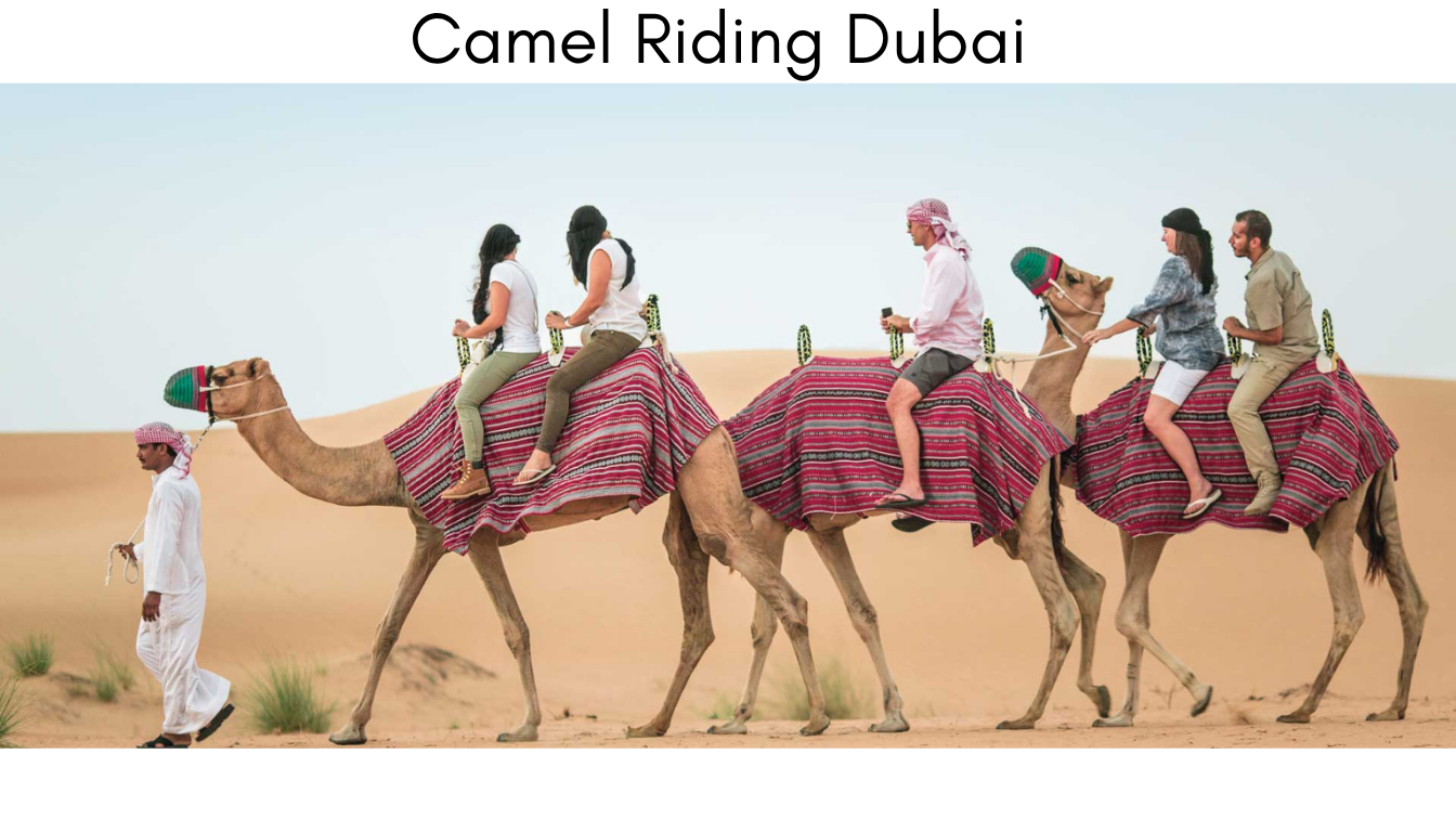 Essential Tips for Camel Riding in Dubai as a beginner